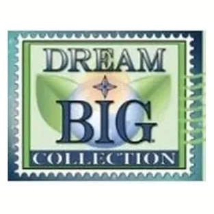 Dream Big Collection brand logo for dreambigcollection.com