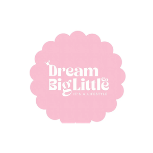 Dream Big Little Co brand logo for dreambiglittleco.com