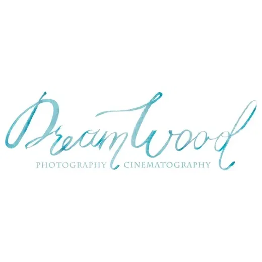 Dream Wood brand logo for dreamwood.pro