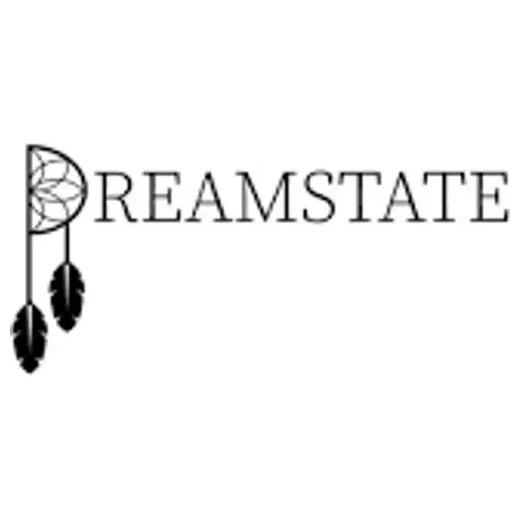 DreamState brand logo for dreamstateagency.com