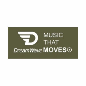Dreamwave brand logo for dreamwaveus.com