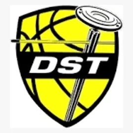 Dribble Stick brand logo for dribblesticktraining.com
