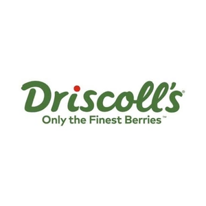 Driscoll's brand logo for driscolls.com