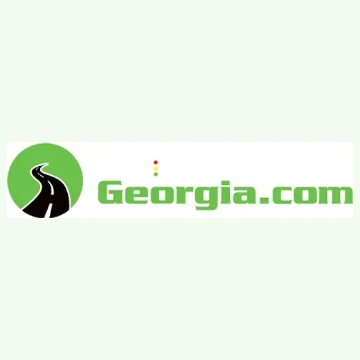 Drive Smart brand logo for drivesmartgeorgia.com