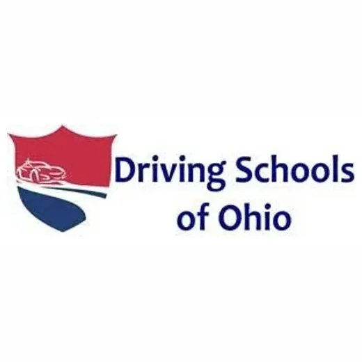 Driving Schools of Ohio brand logo for drivingschoolsofohio.com