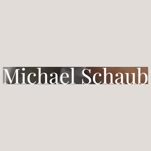drmikeschaub brand logo for drmikeschaub.com