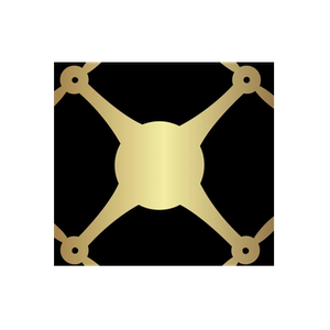 Drone Sales brand logo for drone-sales.co.uk