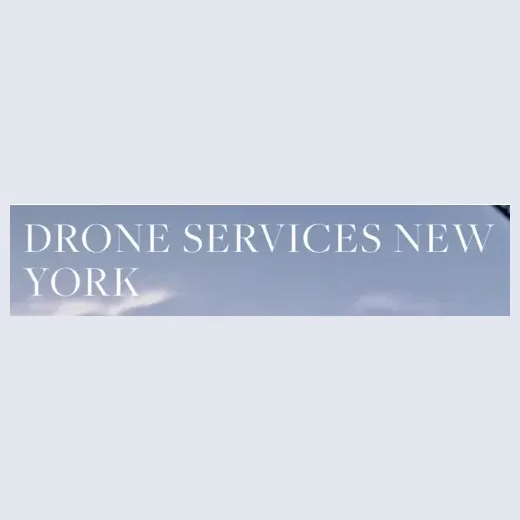Drone Services New York brand logo for droneservicesnewyork.com