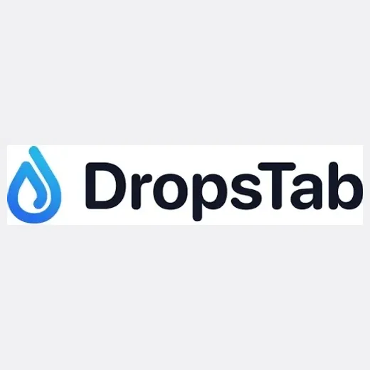Drop Stab brand logo for dropstab.com