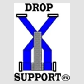 Drop Supports brand logo for dropsupports.com