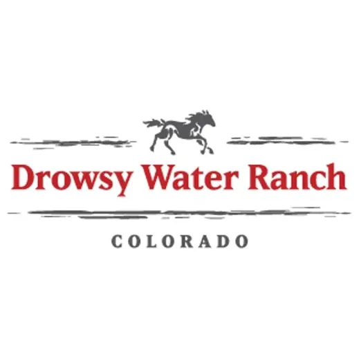 Drowsy Water brand logo for drowsywater.com