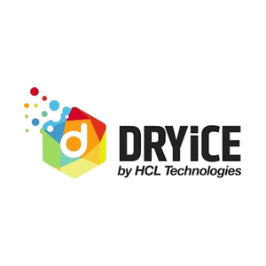 Dry Ice brand logo for dryice.ai