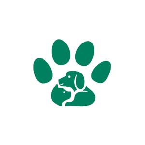 Dry Paws UK brand logo for drypaws.uk