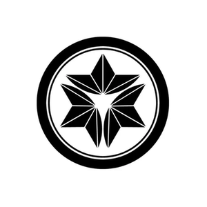 DS Gear brand logo for dsgear.com