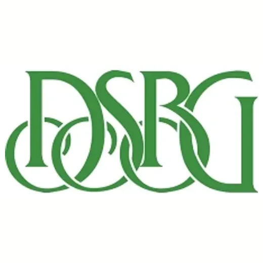 DSBG brand logo for dsbg.org