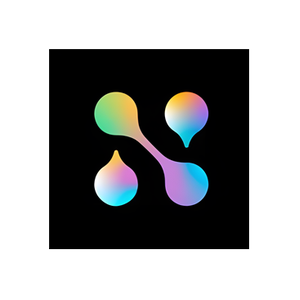 DSNR brand logo for dsnr.ai