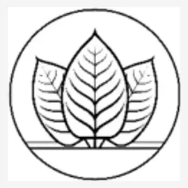 dtebotanicals brand logo for dtebotanicals.com