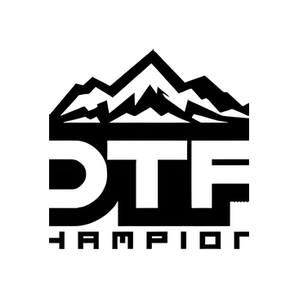 DTF Champions brand logo for dtfchampions.com