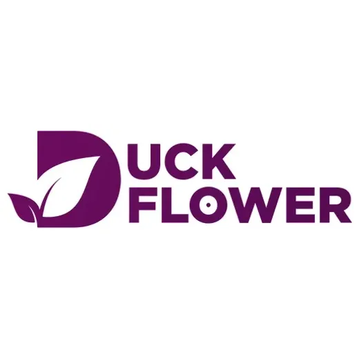 duckflowerdetox brand logo for duckflowerdetox.com