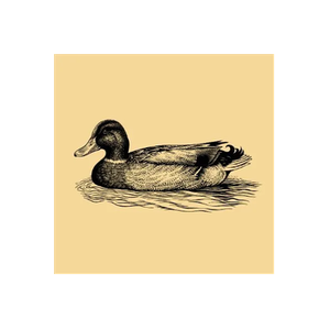 Duckhorn brand logo for duckhorn.com
