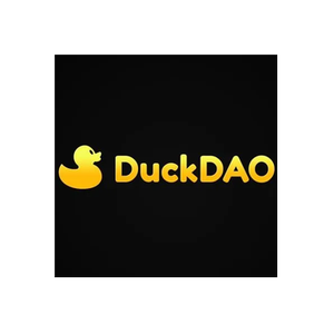 DuckSTARTER brand logo for duckstarter.io