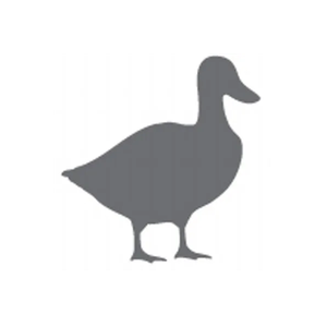 Ducky's brand logo for duckys.com