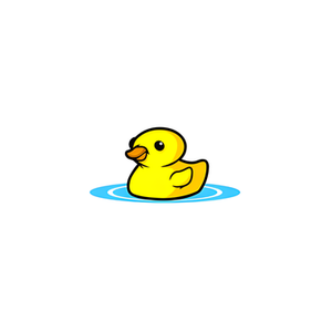 Ducky's Pools brand logo for duckysonline.com