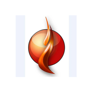 Dunedin Fireplace brand logo for dunedinfireplace.co.nz