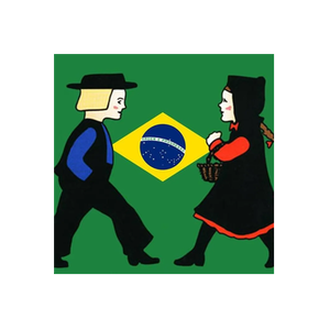 Dutch Blitz brand logo for dutchblitz.com