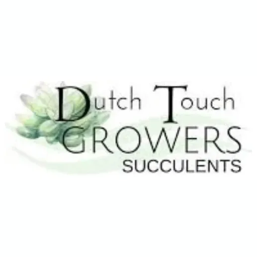 Dutch Touch Growers brand logo for dutchtouchgrowers.com