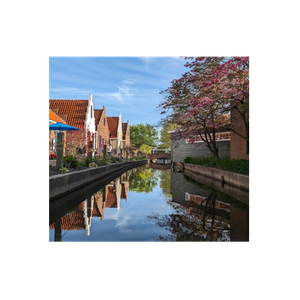 Dutch Village brand logo for dutchvillage.com