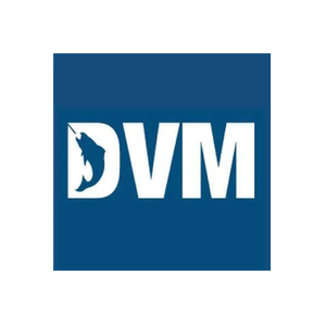 DV Marina brand logo for dvmarina.com
