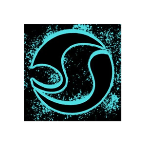 DVS Shoes brand logo for dvsshoes.com