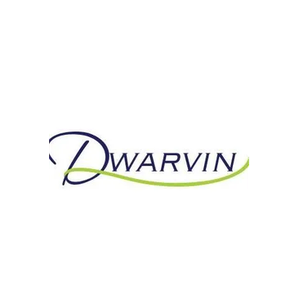 Dwarvin brand logo for dwarvin.com
