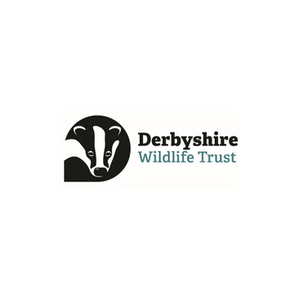 DWT Shop brand logo for dwtshop.org.uk