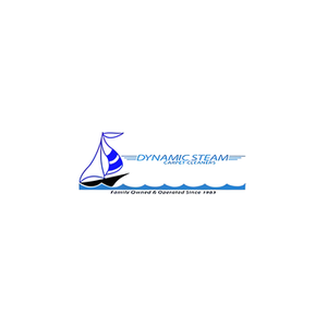 Dynamics Steam Carpet Cleaners brand logo for dynamicsteamcarpetcleaners.com