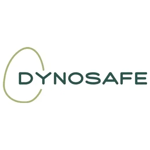 DynoSafe brand logo for dynosafe.com