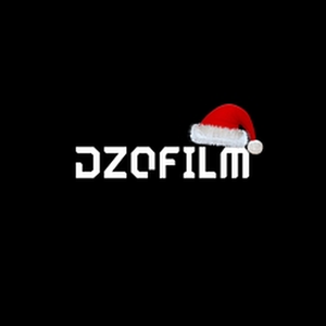 DZOFilm brand logo for dzofilm.com