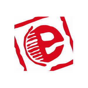 E-Bogu brand logo for e-bogu.com