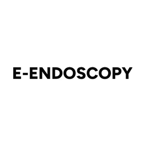 e-endoscopy brand logo for e-endoscopy.com