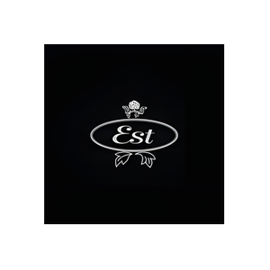 e-Stralia brand logo for estaustralia.com