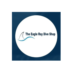 Eagle Ray Diving brand logo for eagleraydiving.com