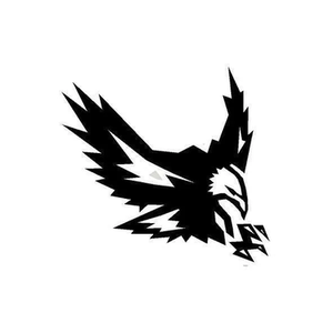 Eagle Ridge Barn Builders brand logo for eagleridgebarnbuilders.com