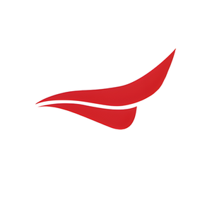 Eagle Sentry brand logo for eaglesentry.com