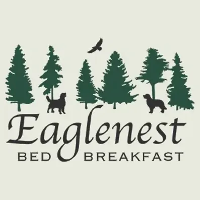 eaglenestbnb brand logo for eaglenestbnb.com