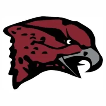 Eastern Shore Hawks brand logo for easternshorehawks.com