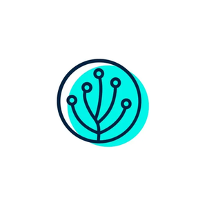 Easy App Reports brand logo for easyappreports.com