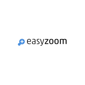Easy Zoom brand logo for easyzoom.com