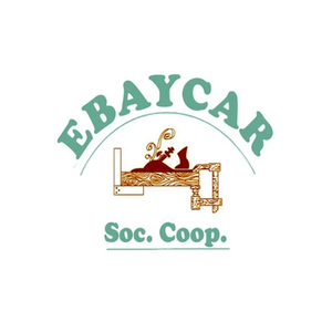 eBay Car brand logo for ebaycar.org