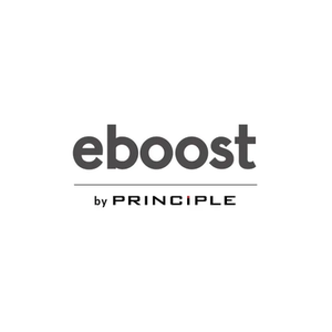 Eboost Consulting brand logo for eboostconsulting.com